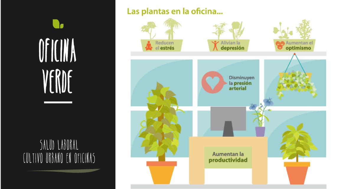 plantas en la oficina. Salud laboral cultivo urbano en oficinas