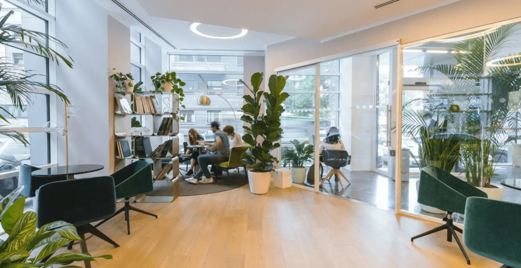 Ubicación estratégica de plantas Ubicación estratégica de plantas